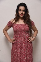 Diksha Panth Photo Pics